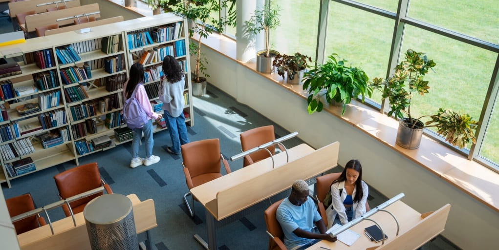 социогуманитарное ядро